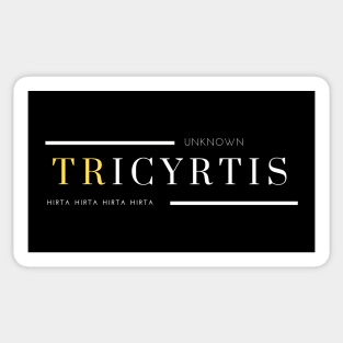 Minimalist Exotic Plant Design: Natural and Sophisticated Style - Tricyrtis Sticker